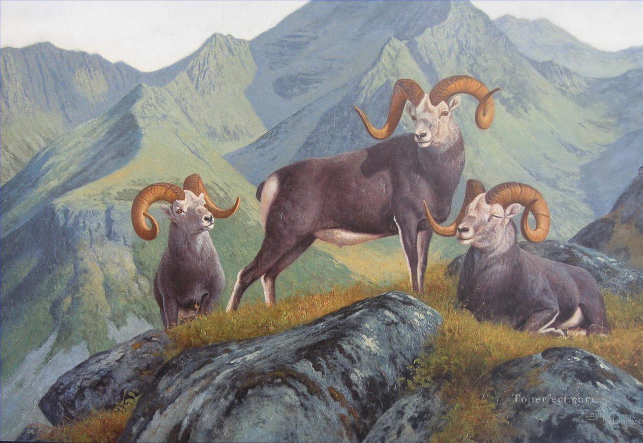 goat in mountain Oil Paintings